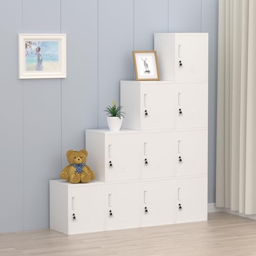 JINGUR Metal Storage Locker Cabinet with Locking Door and Adjustable Shelf for Home Office Classroom Workshop Organization (White) - color: White