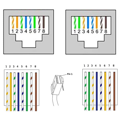 2Way RJ45 8P8C DIN Rail Mount Ethernet Connector Distribution - size: 2 way