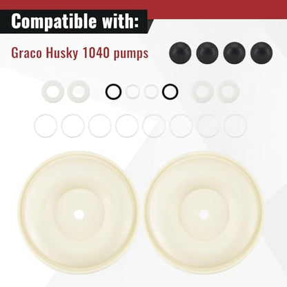 D07-525 Diaphragm Pump Repair Kit