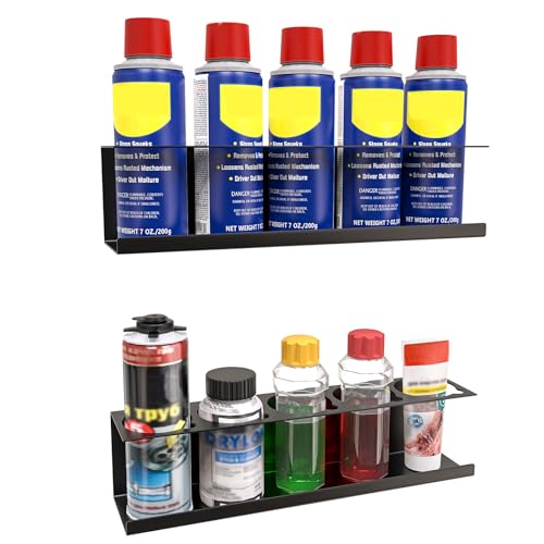 Riciakik 2 Pack Wall-Mounted Aerosol Spray Can Holder Storage Rack, Heavy-Duty Paint Bottle Organizer With 10 Holes, Black Spray Steel Rack for Garage, Shop, Home or Tool Trailer - color: Black, size: 2 Pack