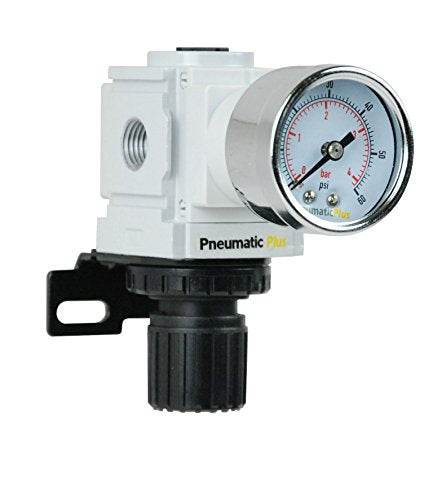 PneumaticPlus PPR2-N02BG-4 Low Pressure Air Regulator, 0-60 PSI, 1/4" NPT - size: 1/4" NPT (3-60 PSI)