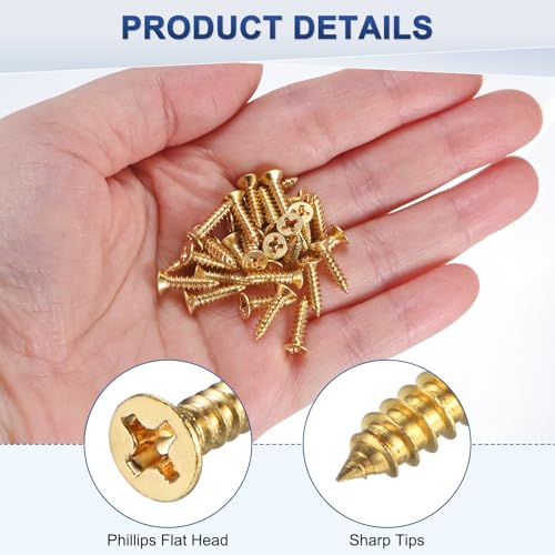 M METERXITY 100-Pack Brass Wood Screws, M3 x 12mm Phillips Flat Head Self-Tapping Screw Connector Fasteners for Door Hinges/Woodworking/Furniture Repair/Gardening/DIY Crafts Decorative Screws - size: M3x12mm
