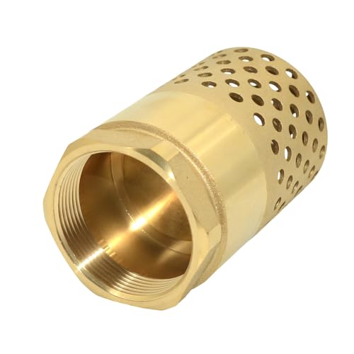 VARMHUS Brass Foot Valve with Strainer, NPT Spring Loaded Check Valve, Lead-Free One-Way Backflow Preventer with Filter Screen for Water Pump and Irrigation Systems (2")