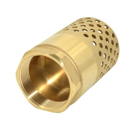 VARMHUS Brass Foot Valve with Strainer, NPT Spring Loaded Check Valve, Lead-Free One-Way Backflow Preventer with Filter Screen for Water Pump and Irrigation Systems (2")