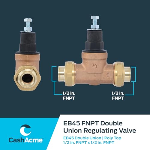 Cash Acme EB45 Pressure Regulating Valve, Double Union, 1/2 Inch NPT Female, Poly Top, 60 PSI, PVA08P-DUTH-60 - size: 1/2 in., Poly Top