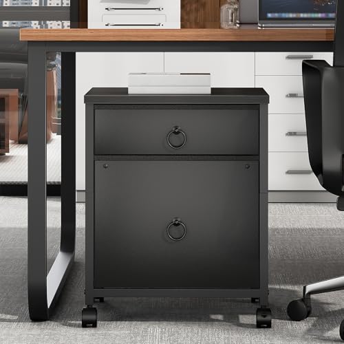 HOOBRO File Cabinet, 2-Drawer Vertical Mobile Office Cabinet, Rolling Printer Stand, for A4/Letter Size Files, Nonwovens Drawer, for Home Office, Black BB21WJ01 - color: Black