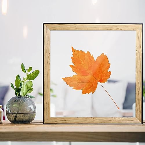 2 Pack 12x16 1/8" Clear Plexiglass Sheets for Glass Replacement - size: 12 x 16"