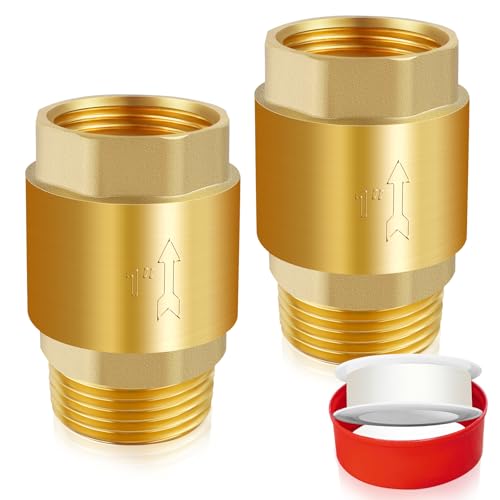 Boltigen 1" Brass Check Valve, NPT Spring One-Way Backflow Preventer - size: 1" Female * 1'' Male