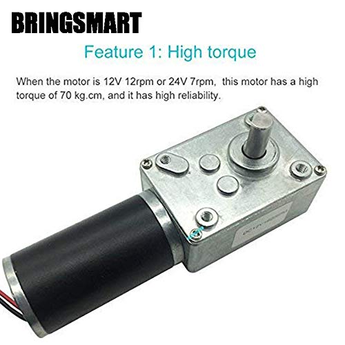 BRINGSMART 24V 260rpm DC Worm Gear Motor Self-Locking Mini Engine Turbine - size: 24V 260rpm
