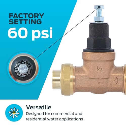Cash Acme EB45 Pressure Regulating Valve, Double Union, 1/2 Inch NPT Female, Poly Top, 60 PSI, PVA08P-DUTH-60 - size: 1/2 in., Poly Top