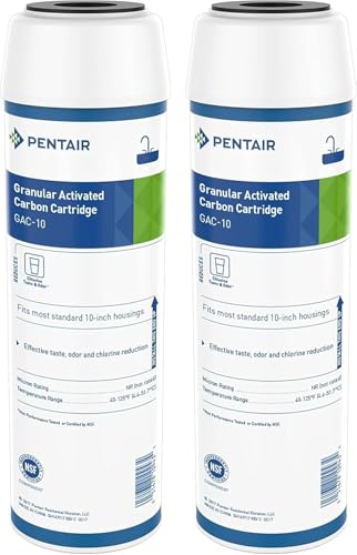 Pentair Pentek GAC-10 10" x 2.5" Carbon Water Filter, Pack of 2 - size: Pack of 2, style: 10" x 2.5"