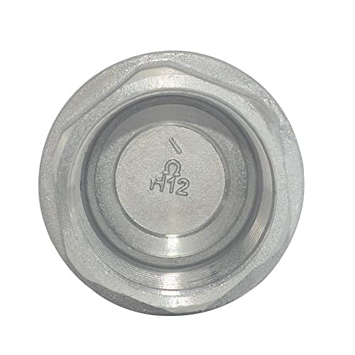 1-1/4" NPT Female WOG1000 Check Valve,Spring Loaded In-line Low Cracking Pressure,Stainless Steel SS316 CF8M - size: 1.25 Inch