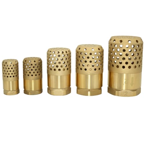 VARMHUS Brass Foot Valve with Strainer, NPT Spring Loaded Check Valve, Lead-Free One-Way Backflow Preventer with Filter Screen for Water Pump and Irrigation Systems (1")