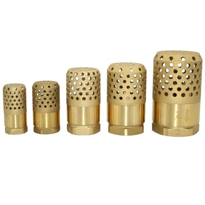 VARMHUS Brass Foot Valve with Strainer, NPT Spring Loaded Check Valve, Lead-Free One-Way Backflow Preventer with Filter Screen for Water Pump and Irrigation Systems (1")