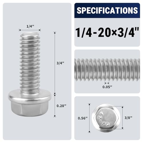 1/4-20 x 3/4" Flange Hex Bolts, 304 Stainless Steel 18-8, A2-70 Grade, Non-Serrated Flange Bolts for Automotive Repair, Fully Threaded, 20 Pcs - size: 1/4-20 x 3/4