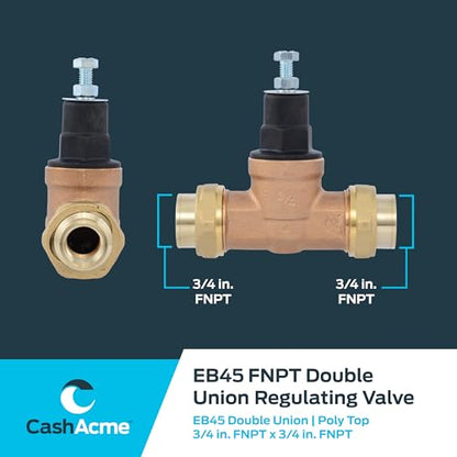 Cash Acme EB45 Pressure Regulating Valve, Double Union, 3/4 Inch NPT Female, Poly Top, 60 PSI, PVA16P-DUTH-60, Brass - size: 3/4 in., Poly Top