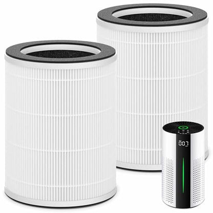 2 Packs HAP609 Replacement Filter Compatible with ECOSELF HAP609 Air Purifi-er for Home Large Room up to 1800 Ft², Main Filter