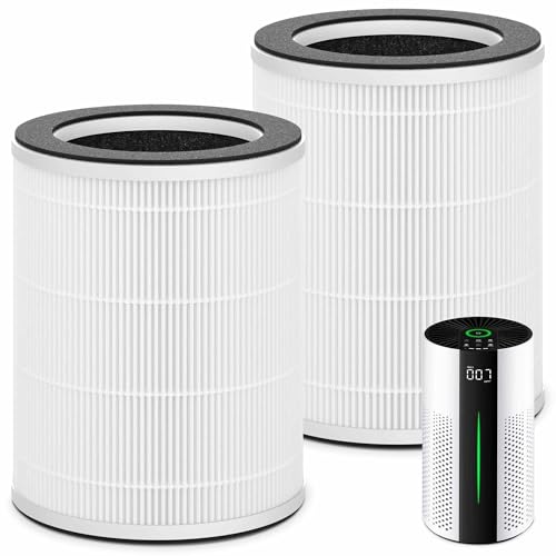 2 Packs HAP609 Replacement Filter Compatible with ECOSELF HAP609 Air Purifi-er for Home Large Room up to 1800 Ft², Main Filter