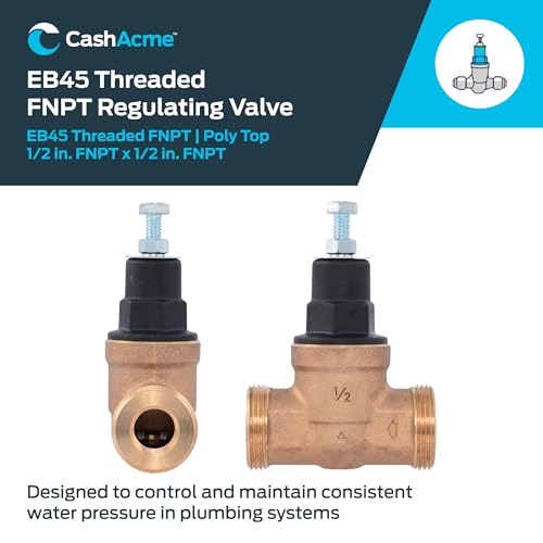 Cash Acme EB45 Pressure Regulating Valve, 1/2 Inch NPT Threaded, Poly Top, 60 PSI, PVA08P-DTH-60 - size: 1/2 in., 60 PSI