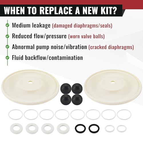 D07-525 Diaphragm Pump Repair Kit