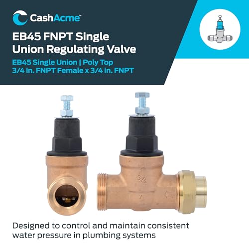 Cash Acme EB45 Pressure Regulating Valve, Single Union, 3/4 Inch NPT Female x NPT Female, Poly Top, 60 PSI, PVA16P-SUTH-60 - size: 3/4 in., style: Poly Top, 60 PSI