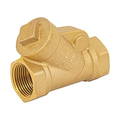 Brass check valve 1 '