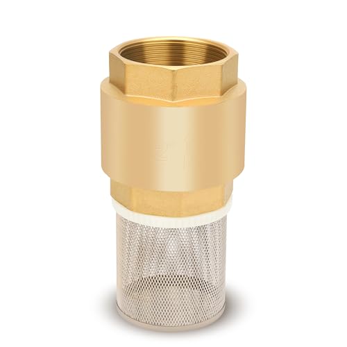 2" NPT Foot Valve with Filter, Brass, Heavy Duty, Female Thread, DN50 - size: 2 Inch