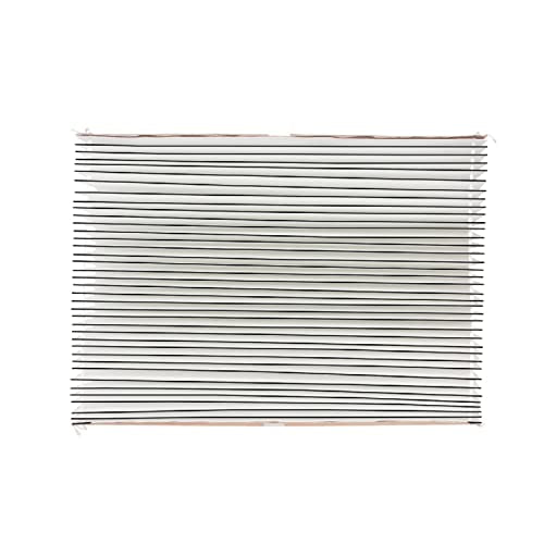 AprilAire 501 Replacement Filter for AprilAire 5000 Whole-House Air Purifier - MERV 15 Equivalent, 16x25x6 Air Filter (Pack of 2) - style: Value Pack (2)