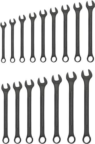 Neiko 03575A Jumbo Combination Wrench Set | 16 Piece | MM | 6 mm to 32 mm | Raised Panel Construction - size: 16 Piece, style: Metric