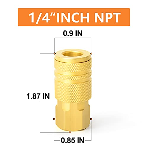 GASHER 12PCS 1/4" Brass Female Industrial Coupler, Female Threads Size, Quick Connect Air Coupler - size: NEW STYLE 1/4" FNPT