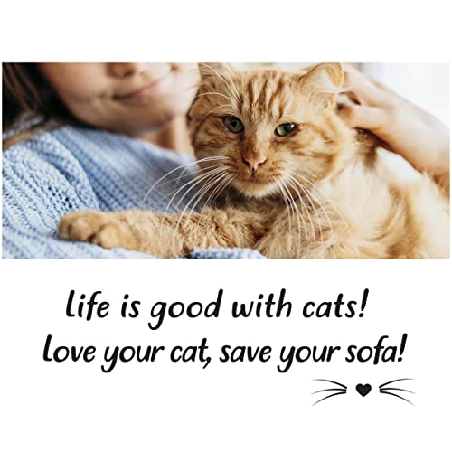 Sofisti - Cat Scratch Deterrent Tape for Furniture – 10 Double Sided Anti Scratching Sticky Tape - Cat Scratch Furniture Protector – Cat Training Tape Teaches Your Kitty Not to Scratch Your Couch - size: 10 sheets