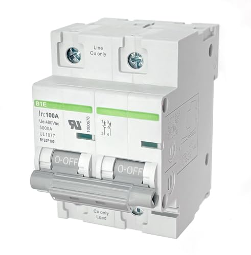 DIN Rail Mount Miniature Circuit Breaker, P Curve, UL Listed UL1077 (2 Poles 100A) - style: 2 Poles 100A