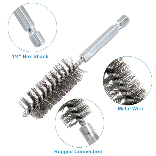 Biaungdo 6 Pcs Stainless Bore Brush Set, 8-19mm Twisted Wire Drill Brush