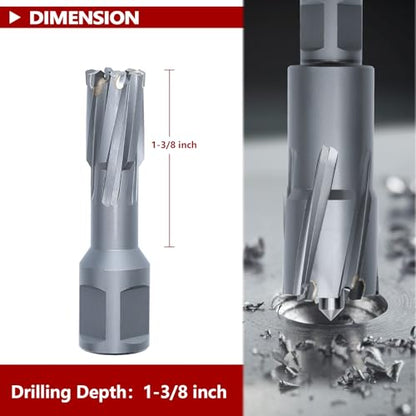 1/2" x 2" Annular Cutter with Weldon Shank - size: 1/2" diameter, style: 2" depth