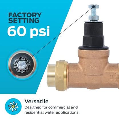 Cash Acme EB45 Pressure Regulating Valve, Double Union, 3/4 Inch NPT Female, Poly Top, 60 PSI, PVA16P-DUTH-60, Brass - size: 3/4 in., Poly Top
