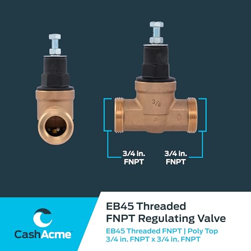 Cash Acme EB45 Pressure Regulating Valve, 3/4 Inch NPT Threaded, Poly Top, 60 PSI, PVA16P-DTH-60 - size: 3/4 in., 60 PSI