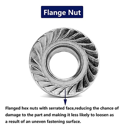 1/4-20 Serrated Flange Hex Lock Nuts 50Pcs 304 Stainless Steel 18-8, Full Thread, Hex Drive, Bright Finish by SG TZH