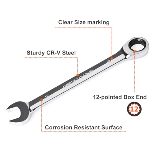 Egofine 19mm Ratcheting Combination Wrench Metric, Industrial Grade Gear Spanner with 12-Point Design, 72-Tooth Ratchet, Chrome Vanadium Steel - size: 19mm