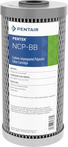 Pentair Pentek NCP-BB Big Blue Carbon Water Filter, 10-Inch, Whole House Pleated Carbon-Impregnated Polyester Cartridge, 10" x 4.5", 10 Micron, Sediment and Chlorine Reduction - size: Pack of 1, style: 10" x 4.5"