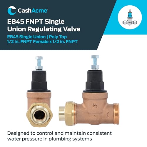 Cash Acme EB45 Pressure Regulating Valve, Single Union, 1/2 Inch NPT Female x NPT Female, Poly Top, 60 PSI, PVA08P-SUTH-60 - size: 1/2 in., style: Poly Top, 60 PSI