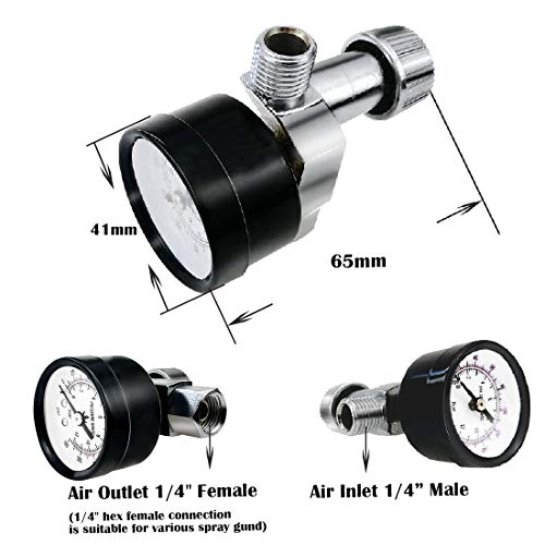 Beduan Flow Control Valve, 1/4" NPS Water Pressure Reducer Adjustable Control Valve with Gauge