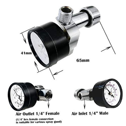 Beduan Flow Control Valve, 1/4" NPS Water Pressure Reducer Adjustable Control Valve with Gauge