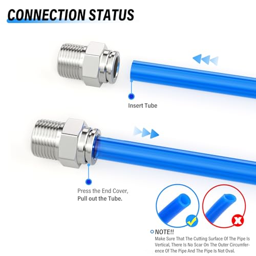 TAILONZ 304 Stainless Steel 1/4" x 1/8" NPT Push to Connect Straight 2Pcs - size: 1/4''OD 1/8''NPT