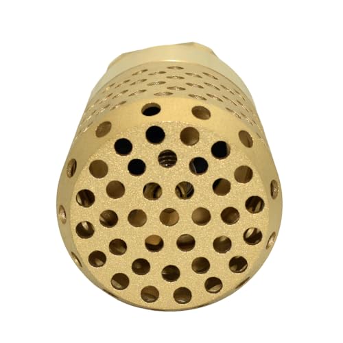 VARMHUS Brass Foot Valve with Strainer, NPT Spring Loaded Check Valve, Lead-Free One-Way Backflow Preventer with Filter Screen for Water Pump and Irrigation Systems (2")