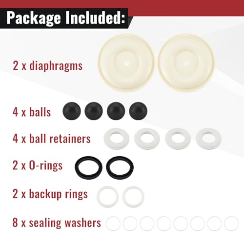 D07-525 Diaphragm Pump Repair Kit