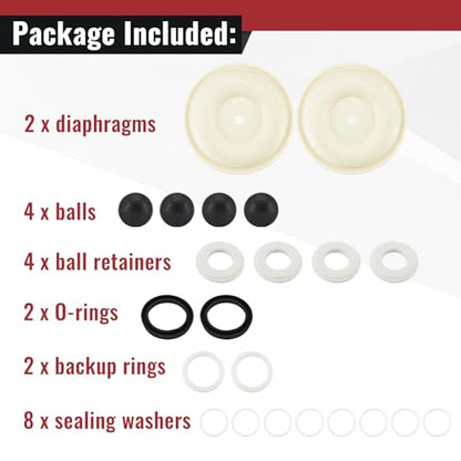 D07-525 Diaphragm Pump Repair Kit