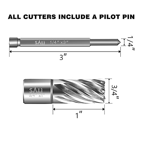 SALI Annular Cutter Diameter 3/4 Inch with Weldon Shank 3/4"(with 2 Flats) Cutting Depth 1" Mag Drill Bit for Magnetic Drill Press HSS Fully Ground Drill with One 1/4"*3" Pilot Pin - size: 3/4"*1"