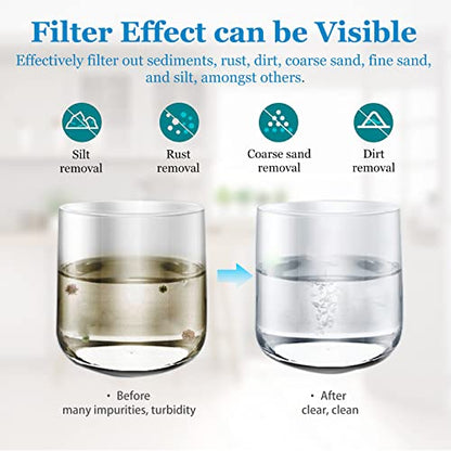 20 Micron Water Filter 10" x 2.5", Pleated Sediment Filters, 4-Pack