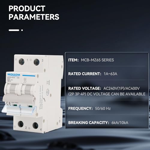 MOLLOM DC 2P 250V 25Amps C25 Miniature Circuit Breaker - style: 25A