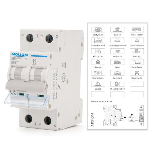 MOLLOM DC 2P 250V 10Amps C10 Miniature Circuit Breaker - style: 10A